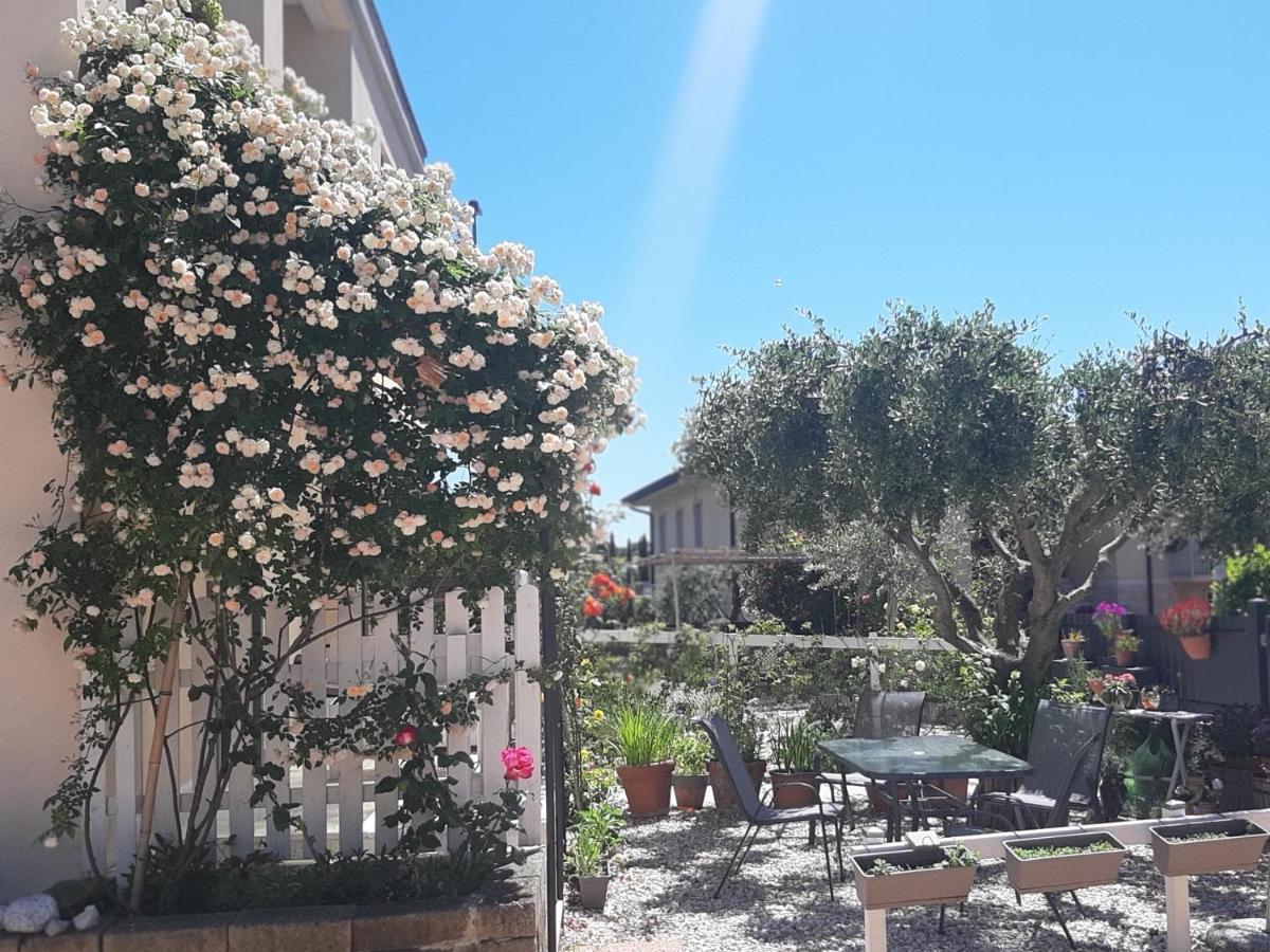 Apartment Marianna Garda