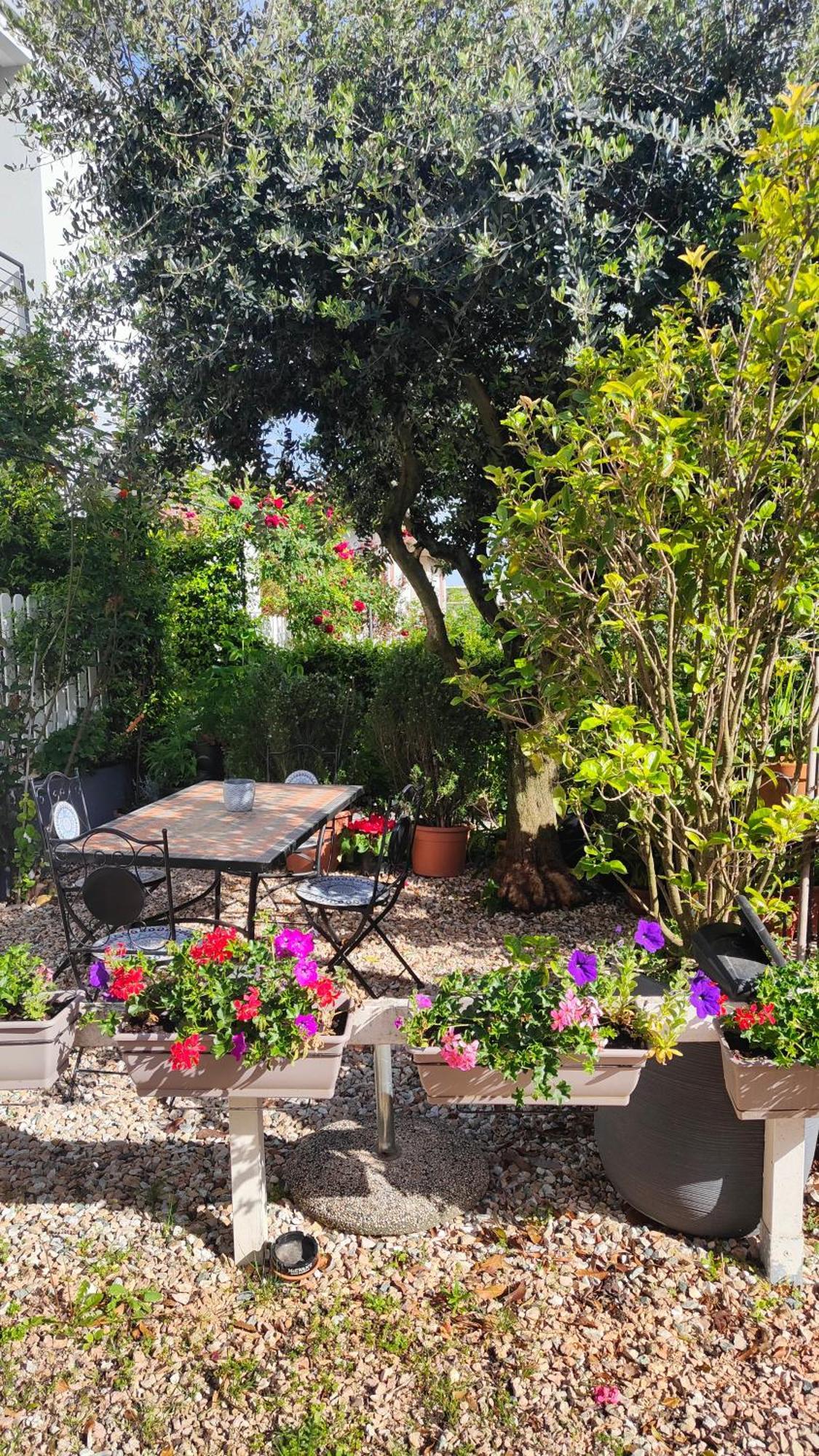 Apartment Marianna Garda Peschiera del Garda