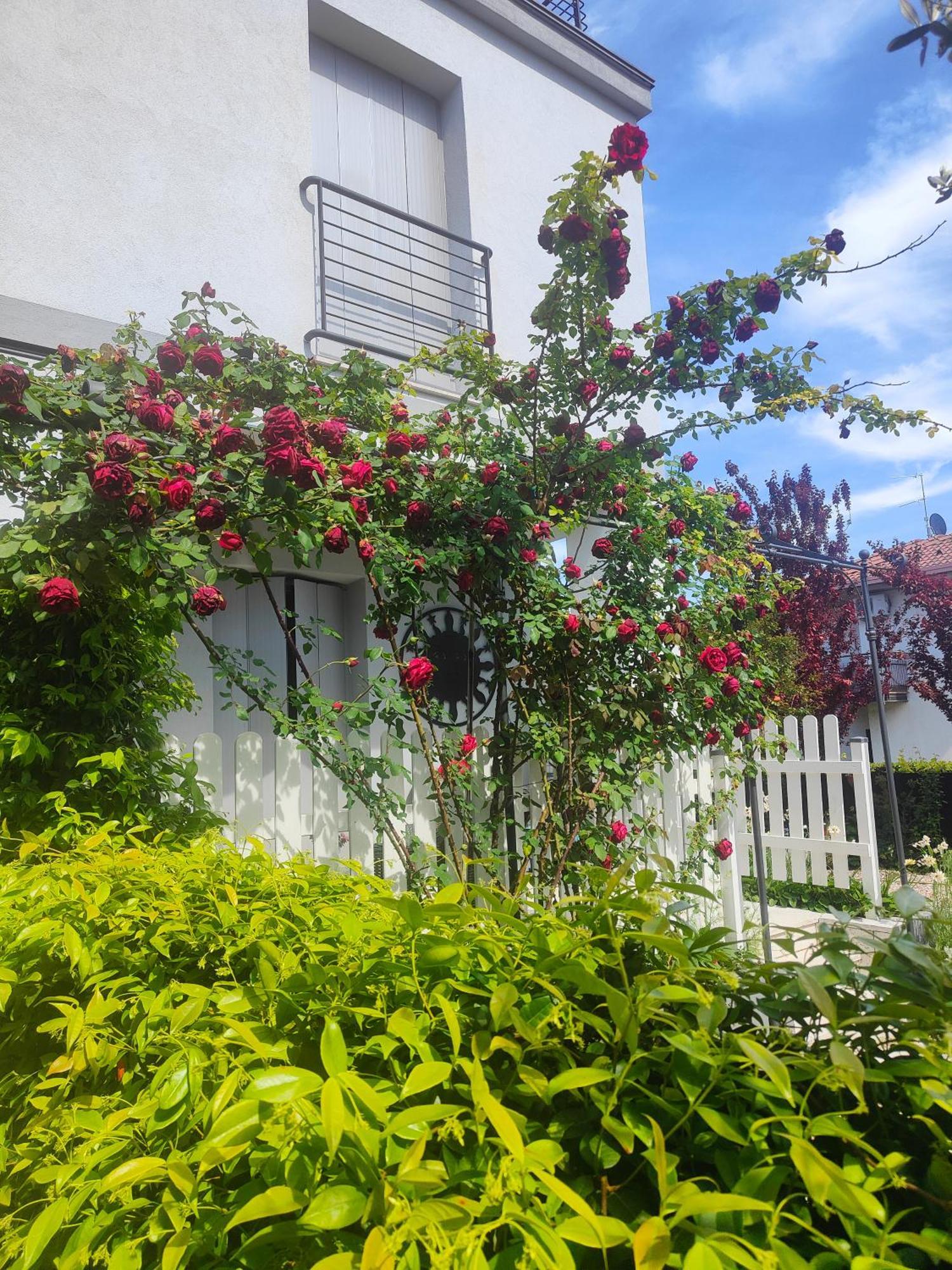 Marianna Garda Apartment