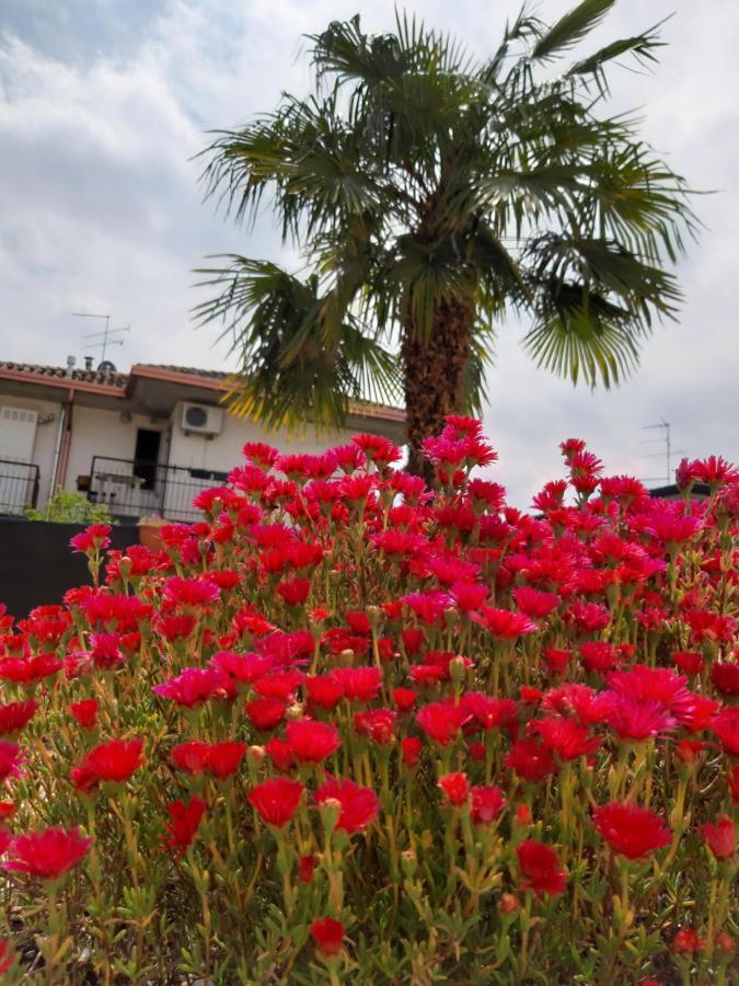 Apartment Marianna Garda *